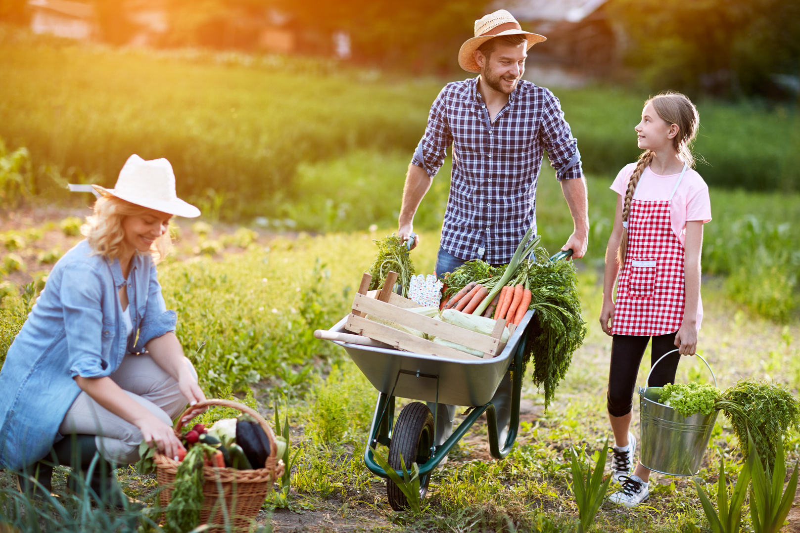 Diligent farmers family